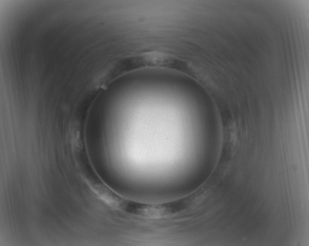 X0000083600615200702091222