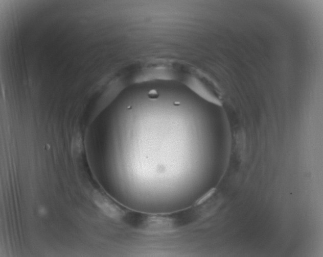 X0000083600617200702091221