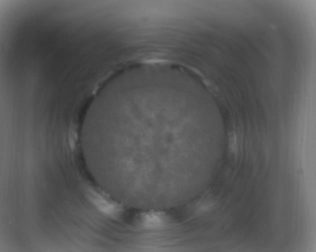 X0000083600618200702091221