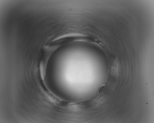 X0000083600620200702091221