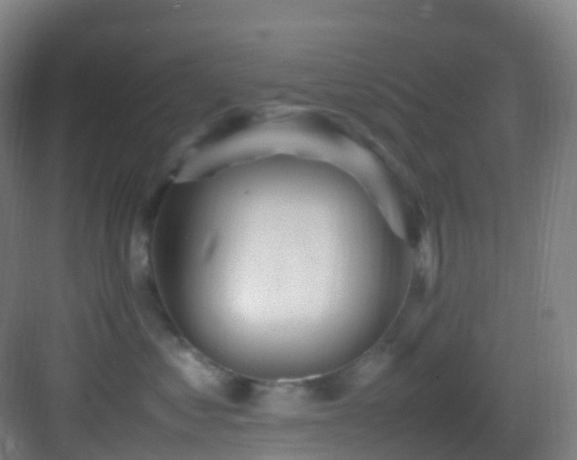 X0000083600621200702091221