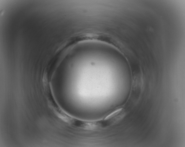 X0000083600623200702091221