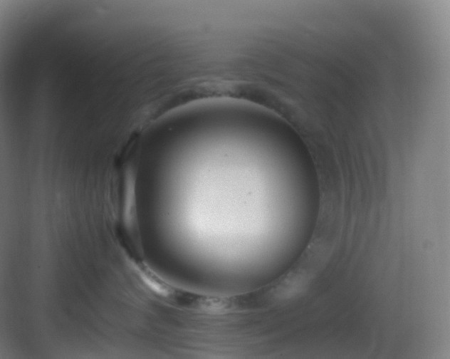 X0000083600624200702091221