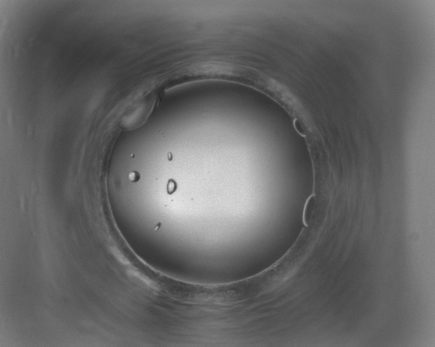 X0000083600625200702091221