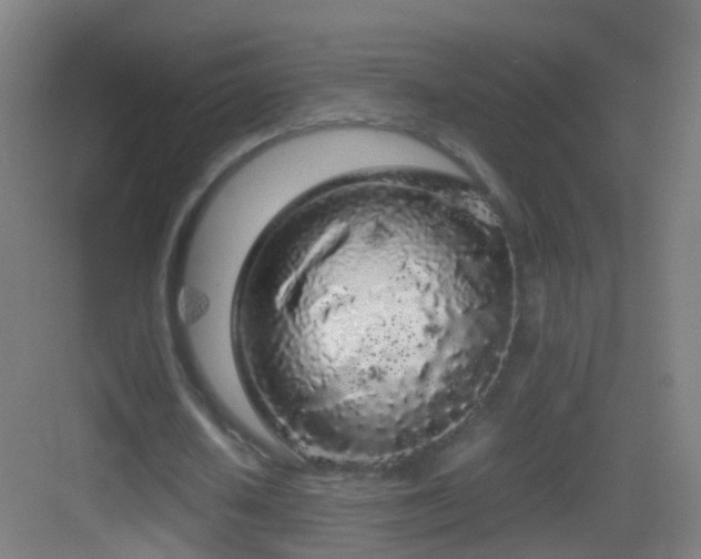 X0000083600626200702091221