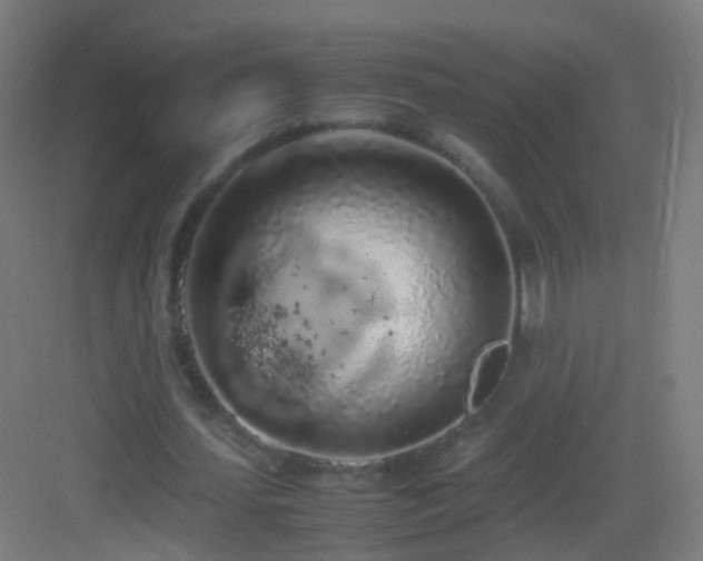 X0000083600627200702091221