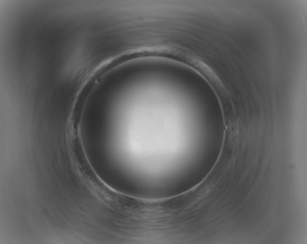 X0000083600628200702091221