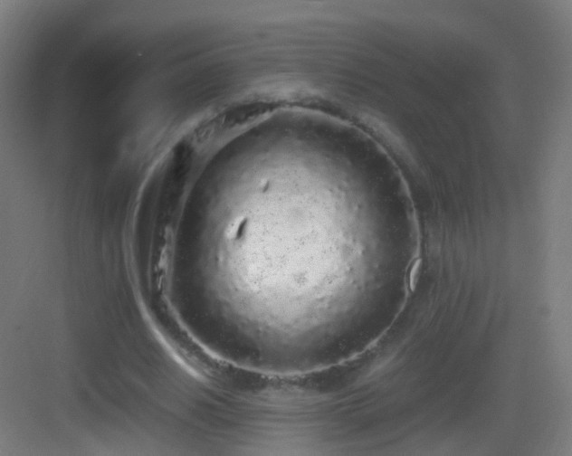 X0000083600630200702091221