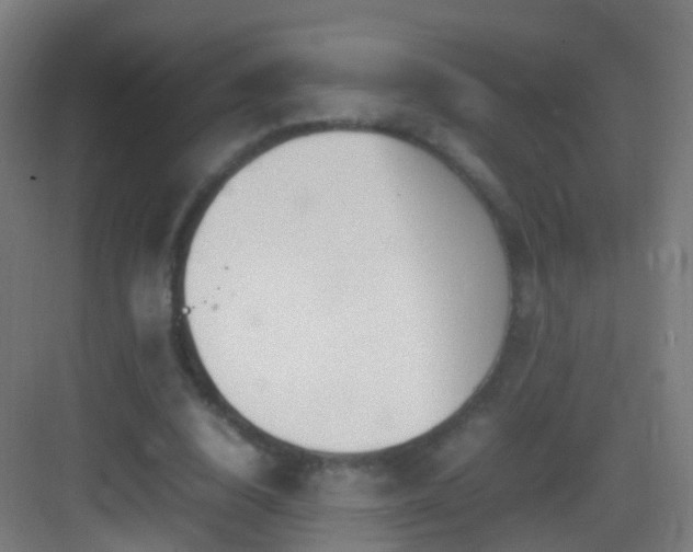 X0000083600632200702091221