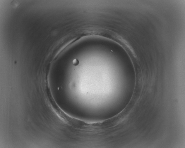 X0000083600633200702091221