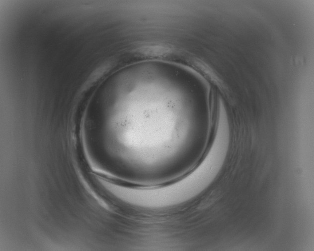 X0000083600634200702091221