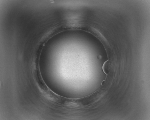 X0000083600635200702091221