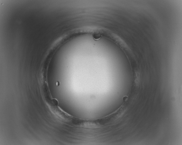 X0000083600636200702091221