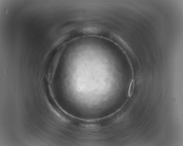 X0000083600637200702091221