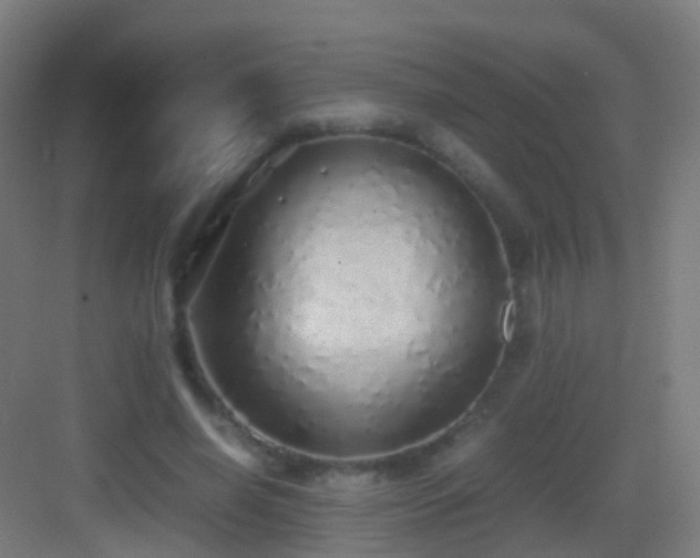 X0000083600638200702091221