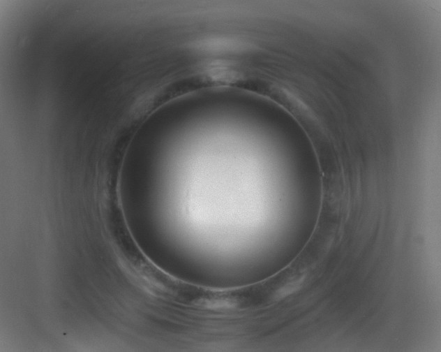 X0000083600639200702091221