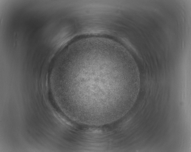 X0000083600640200702091221