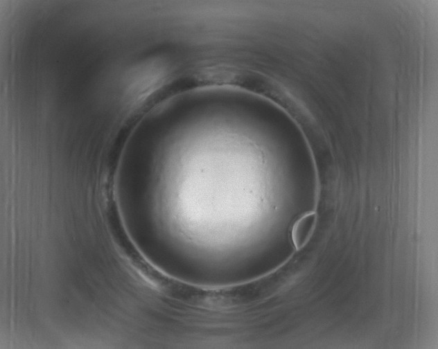 X0000083600641200702091221