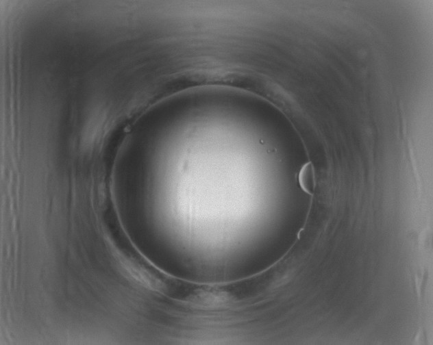 X0000083600642200702091221