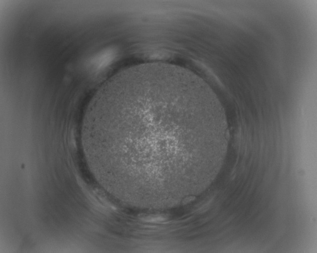 X0000083600643200702091221