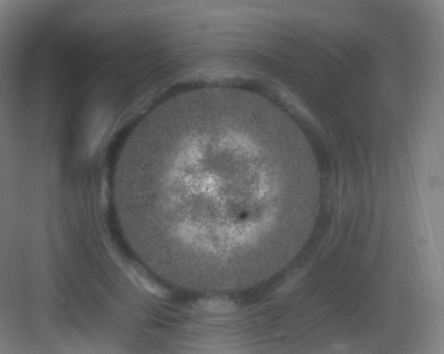 X0000083600644200702091221