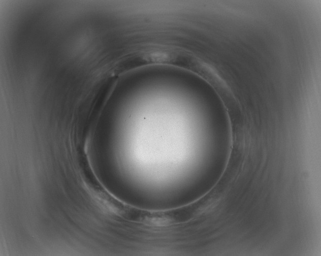 X0000083600645200702091221