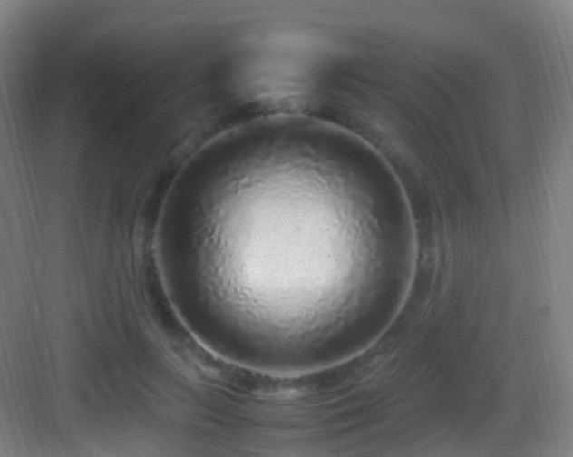 X0000083600647200702091221