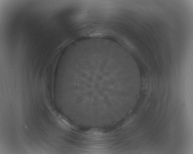 X0000083600648200702091221