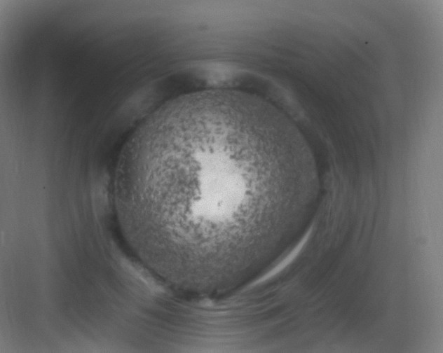 X0000083600650200702091221