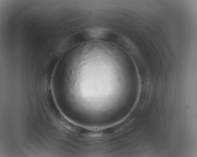 X0000083600651200702091221