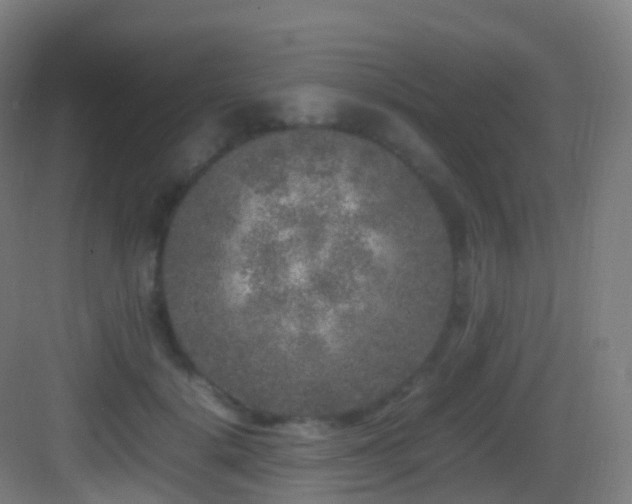 X0000083600652200702091221