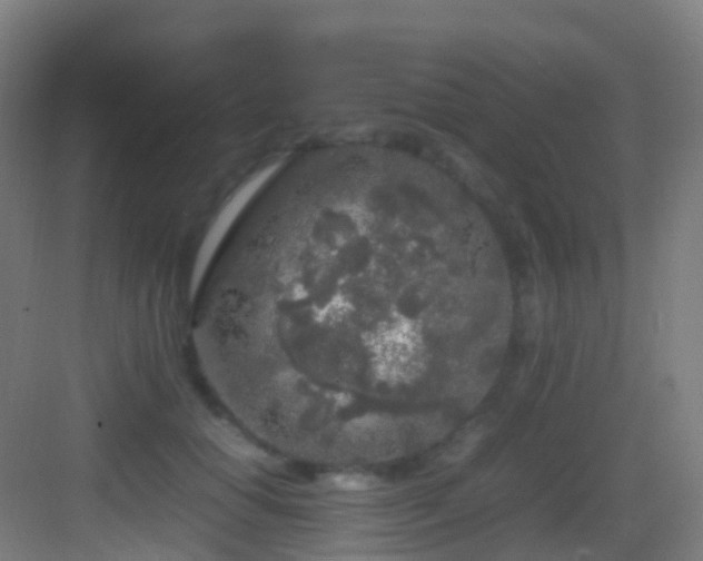 X0000083600654200702091221