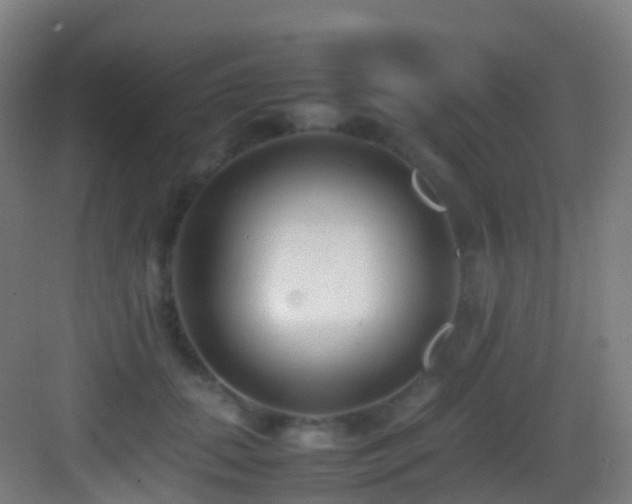 X0000083600655200702091221