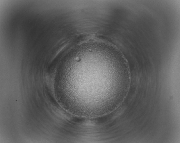 X0000083600656200702091221