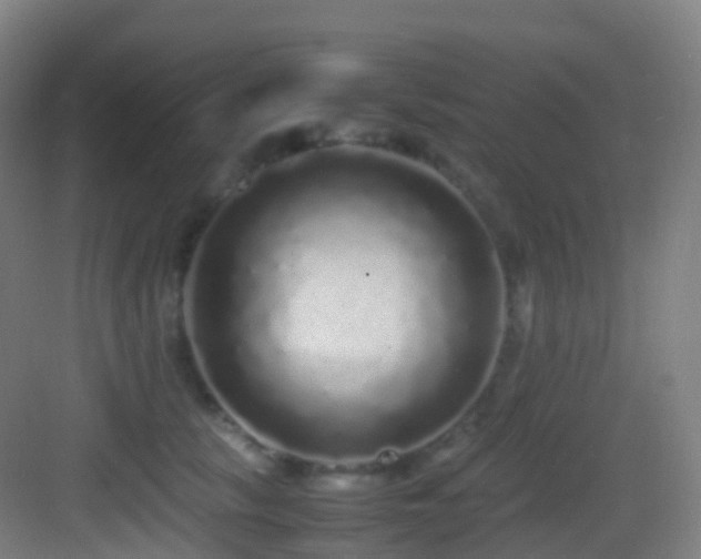 X0000083600657200702091221