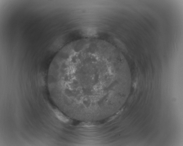 X0000083600658200702091221