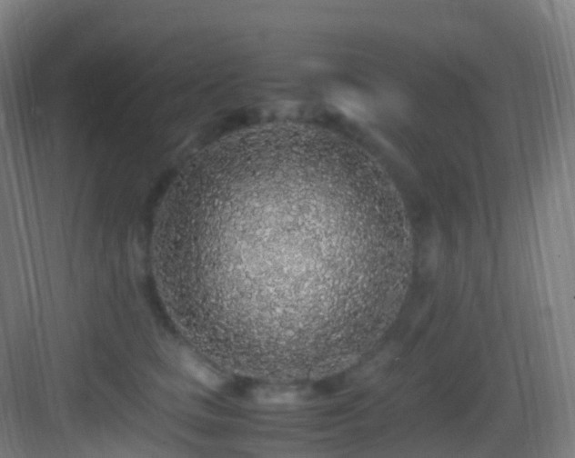 X0000083600661200702091221