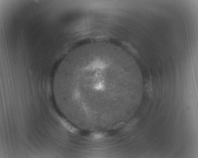 X0000083600662200702091221