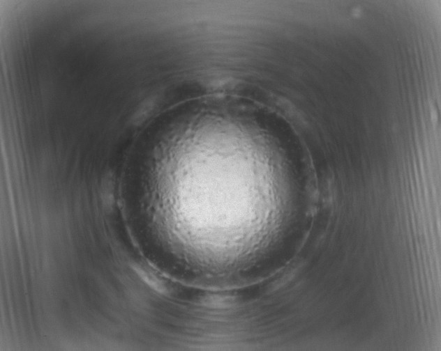 X0000083600664200702091221