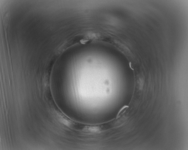 X0000083600665200702091221