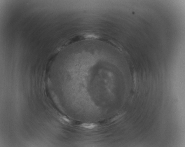 X0000083600667200702091221