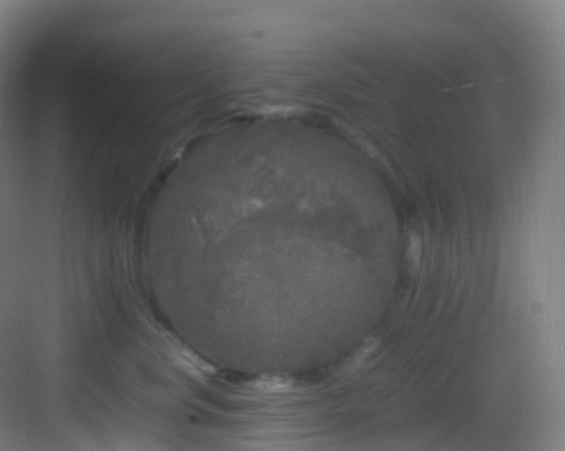 X0000083600668200702091221