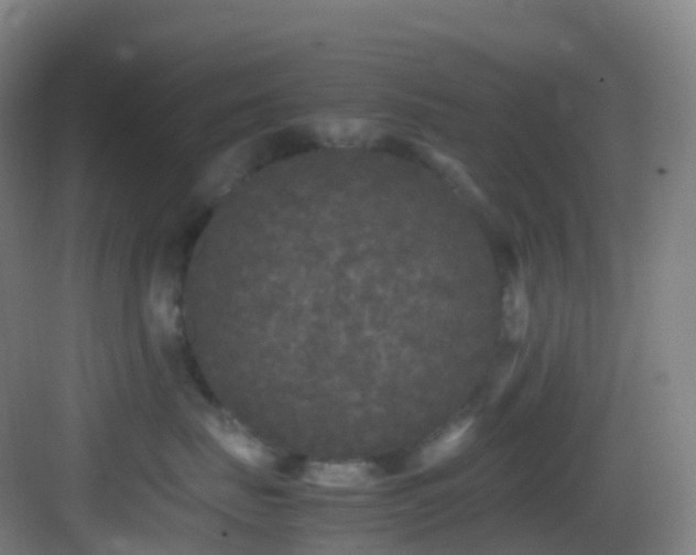 X0000083600671200702091221