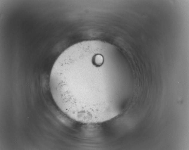 X0000083600672200702091221