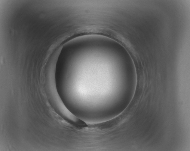 X0000083600673200702091221