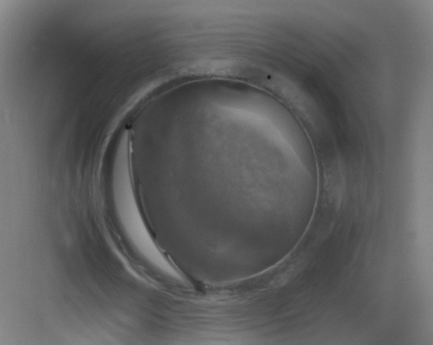 X0000083600674200702091221