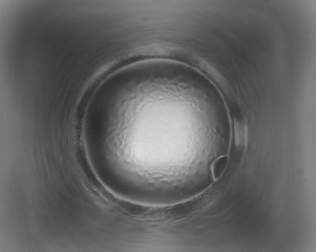 X0000083600675200702091221