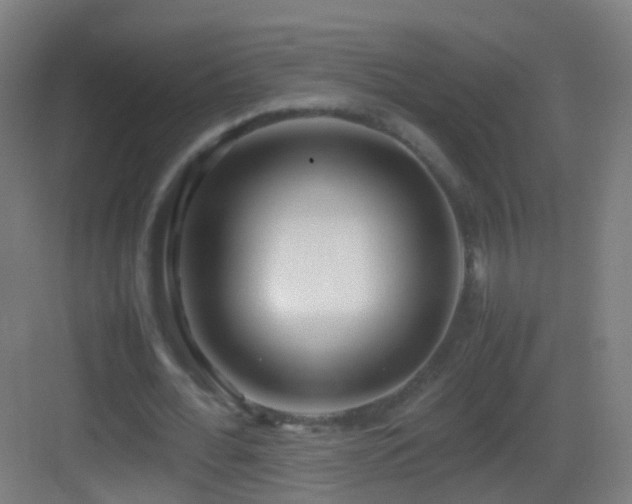 X0000083600676200702091220