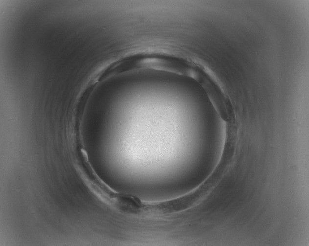 X0000083600677200702091220