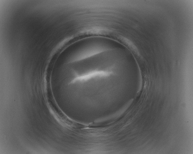 X0000083600678200702091220